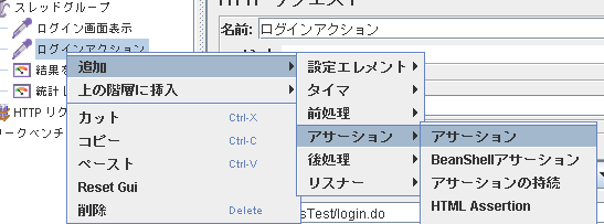 11assertion.png